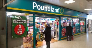 Acquisition: Investment firm Gordon Brothers has acquired Pepco Group's struggling Poundland business