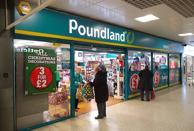 Acquisition: Investment firm Gordon Brothers has acquired Pepco Group's struggling Poundland business