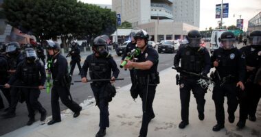 President of California’s largest union arrested while observing ICE raids in LA