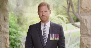 Prince Harry Celebrates German Veterans.