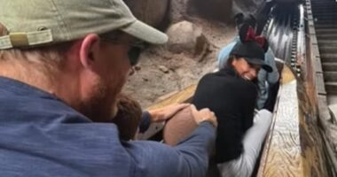 Prince Harry and Meghan Markle sweetly echoed Princess Diana during their recent family trip to Disneyland as they recreated an iconic photo