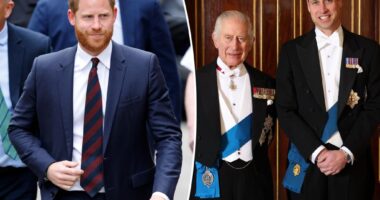 Prince Harry offering olive branch to estranged dad King Charles and brother Prince William in surprise move