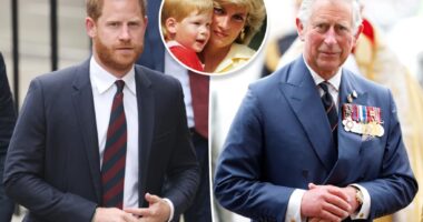 Prince Harry wanted to change last name to Spencer after rift from royal family