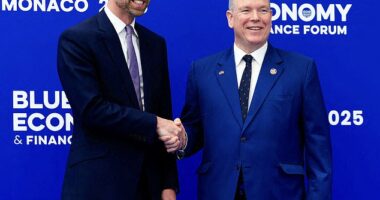 Prince William has joined Prince Albert of Monaco as he touched down in the south of France to attend a forum in a bid to help the world's oceans