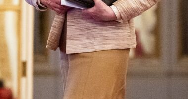 A palace source said Princess Anne (pictured) 'didn't want to do anything for her birthday' except bring the charities she cares about together