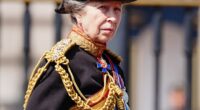 One year since she was hospitalised after being kicked by a horse, Royal fans have praised Princess Anne 's unwavering dedication to royal duties