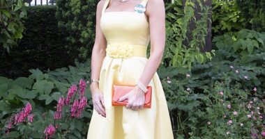Racegoer Tamara Holmgren (pictured) really pushed out the boat, opting for a pale yellow full-length frock, and a VERY eye-catching hat