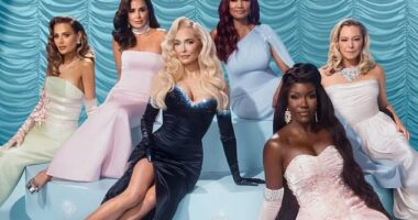 The Real Housewives Of Beverly Hills has officially added a new cast member for the show's upcoming 15th season; cast of season 14 seen above