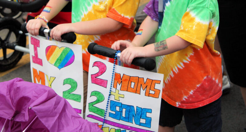Republican Support for Gay Marriage Is Crashing.