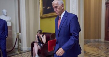 Republican Thom Thillis slams DC ‘hypocrisy’ as he reveals he won’’t run again amid public falling out with Trump