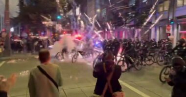 Rioters Attack Seattle Police with Rocks, Fireworks During Pro-Illegal Immigrant Protest.