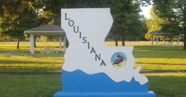 SCOTUS Punts Louisiana Redistricting Case To Next Term