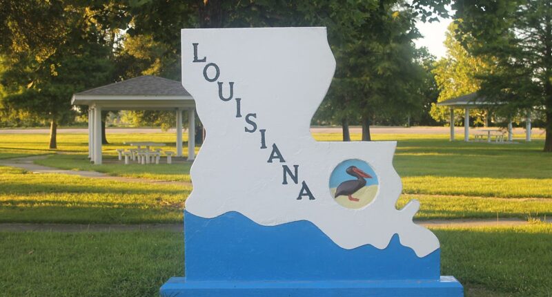 SCOTUS Punts Louisiana Redistricting Case To Next Term