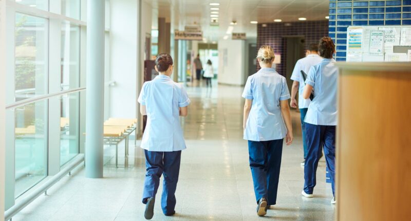 Scandal-hit nursing regulator wrongly approved hundreds of nurses to work in UK, damning report reveals