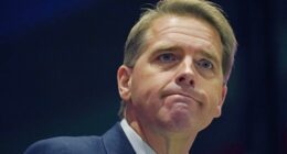 Scott Jennings Delivers an Electrifying Line That Perfectly Sums Up Dems' Anti-ICE Dramatic Efforts – RedState