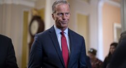 Senate Parliamentarian Going at Big, Beautiful Bill Like Lizzie Borden – HotAir