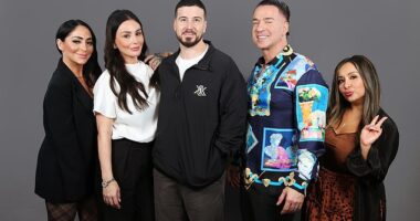 Jersey Shore stars Nicole 'Snooki' Polizzi, Jenni 'Jwoww' Farley, Angelina Pivarnick, Mike 'The Situation' Sorrentino, and Vincent 'Vinny' Guadagnino spoke with DailyMail.com