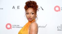 Social Media Drags Fan For Getting Too Touchy With Megan Thee Stallion At Her Meet-And-Greet