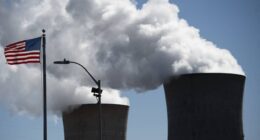 Solar stocks’ losses are nuclear’s gain, as Elon Musk takes swipe at budget bill