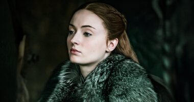 Sophie Turner's Favorite Game Of Thrones Scene Proves The Show Failed Sansa