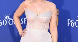 Stacey Solomon lost out on a career accolade once again after she missed out on the award for Social Media Broadcaster at the TRIC awards on Tuesday evening