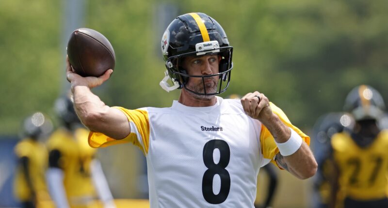 Steelers Players Had Surprise Reaction to Meeting Aaron Rodgers: Insider