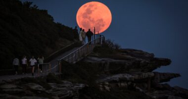 Strawberry moon 2025: When will June’s full moon rise and how to see it