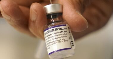 Study: COVID-19 Vaccine Reduced Fertility in Women By a Third