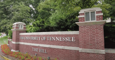 Suit Challenges UT Mandate Of 'Culturally Appropriate' Research