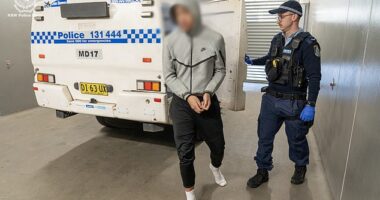Police arrested an 18-year-old (pictured) over the alleged stabbing of two men at a shopping centre in Sydney's west