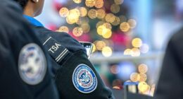 The Transportation Security Administration (TSA) has been forced to issue a hilarious statement about which ID cards qualify as official identification while traveling (stock image)