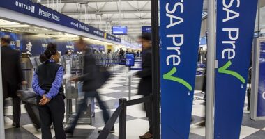 The TSA has issued a warning to travelers about foods that could be confiscated before getting on board a flight (stock image)