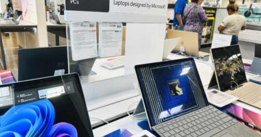 Tariff-driven inflation hasn’t hit everyday life yet — but it will, economists insist. Here’s why.