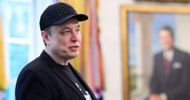 Tesla Shares Fall as Elon Melts Down Over Trump and the 'Big Beautiful Bill.'