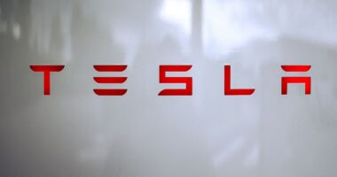 Tesla’s robotaxi-fueled stock surge is making Elon Musk $12 billion richer. Can it last?