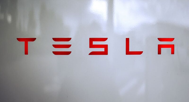 Tesla’s robotaxi-fueled stock surge is making Elon Musk $12 billion richer. Can it last?