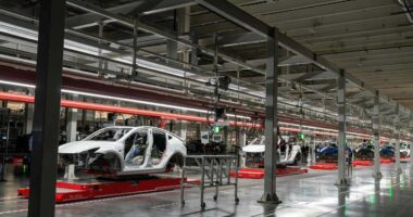 Tesla’s sales numbers are around the corner. Does it look good for the EV maker?