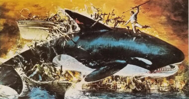The Best Jaws Knockoffs of the Past 50 Years