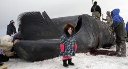 The Big, Beautiful Bill Has Some Suprising Benefits for Alaska – RedState