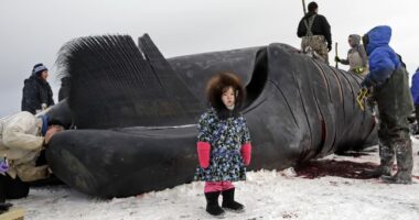 The Big, Beautiful Bill Has Some Suprising Benefits for Alaska – RedState