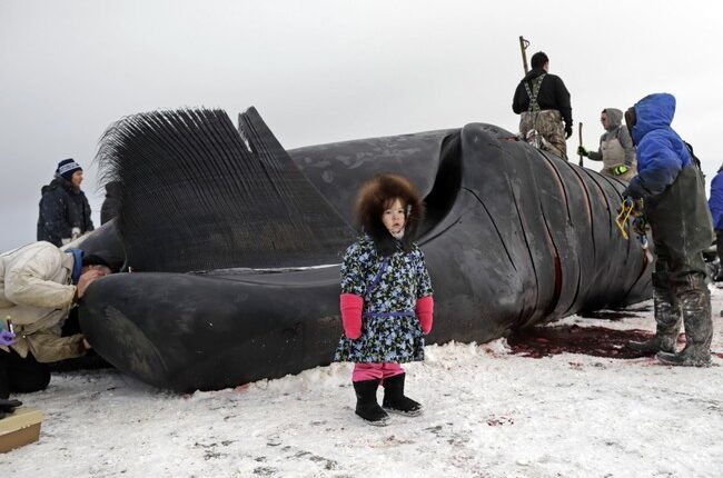 The Big, Beautiful Bill Has Some Suprising Benefits for Alaska – RedState