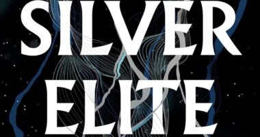 The Newest BookTok Darling Silver Elite Proves Dire for Dystopian Literature
