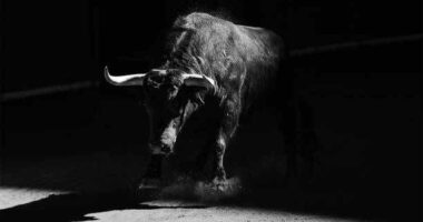The S&P 500 is on the cusp of the seventh great breakout since the 1990s: BofA’s Hartnett