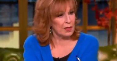 The View left many disappointed and confused on Friday after the ABC daytime show failed to mention Donald Trump and Elon Musk's sensational fallout