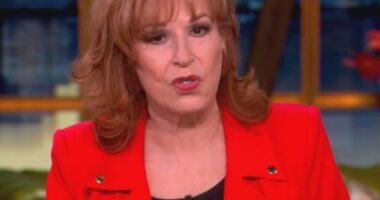 Joy Behar has been branded a 'bit weird' by her co-hosts on The View after she revealed a surprising marriage habit