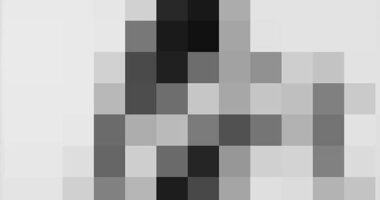 The photograph, by the Ukrainian artist Oleg Kulik, is on display at Hobart's Museum of Old and New Art (MONA)