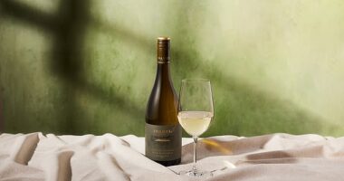 New Zealand's Isabel Estate Wild Barrique Chardonnay 2022 has just come off the back of being named Wine of the Year at the London Wine Competition, and Champion Chardonnay at NZ's National Wine Awards