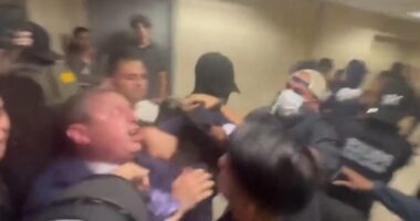 These Democrats Have All Been Arrested for Interfering With Federal Immigration Enforcement.