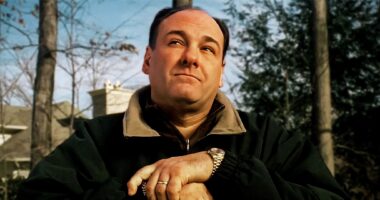 These Two The Sopranos Season 6 Quotes From Bobby & Paulie Set Up Tony's Finale Fate