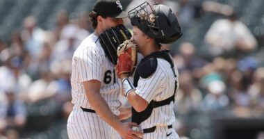 This 'Ambassador' Appearance Stole the Show at the White Sox Game